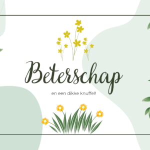 Een Troostende Omhelzing in Een Geschenk: Top 9 Cadeau Ideeën om Beterschap te Wensen
