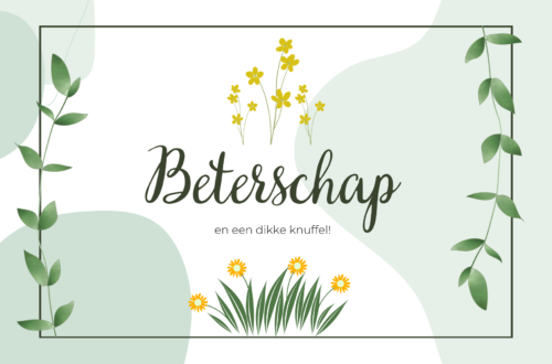 Een Troostende Omhelzing in Een Geschenk: Top 9 Cadeau Ideeën om Beterschap te Wensen